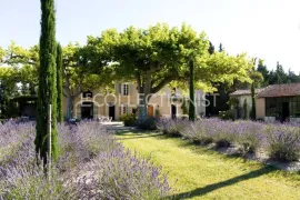 Mas Sedo Saint-Rémy-De-Provence