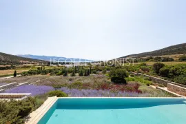Location de vacances Villa Ninon