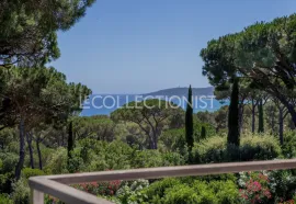 Location de vacances l'Oasis des Pins