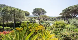 Location de vacances l'Oasis des Pins