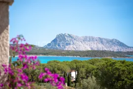 Location de vacances Villa dell Artista