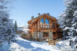 Chalet Frostwood Les allues
