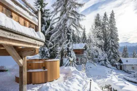 Location de vacances Chalet La Rochette