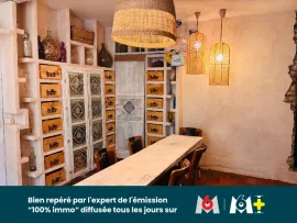 Vente Maison d’exception face a la cité de Carcassonne avec SPA