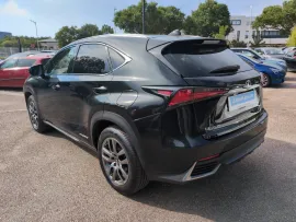 Voiture LEXUS NX I Ph2 Evo 300h 2WD Luxe Plus MY21