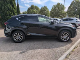 Voiture LEXUS NX I Ph2 Evo 300h 2WD Luxe Plus MY21