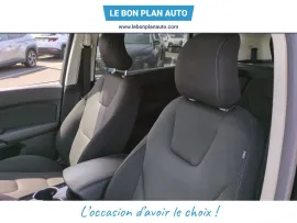 Voiture FORD S-MAX II Ph1 2.0 TDCi 150 S&S Titanium