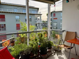 Schönauring, Zürich Zürich