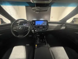 Voiture LEXUS ES I Ph2 Evo 300h Business MY23