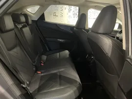 Voiture LEXUS NX II Ph1 450h+ Executive 4WD