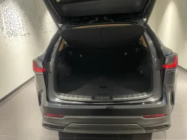 Voiture LEXUS NX II Ph1 450h+ Luxe 4WD MY24