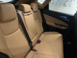 Voiture LEXUS NX II Ph1 350h Luxe 4WD MY24