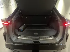 Voiture LEXUS RZ I Ph1 450e Executive