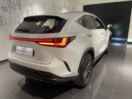 Voiture LEXUS NX II Ph1 350h Pack Business 2WD MY24