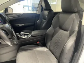 Voiture LEXUS NX II Ph1 350h Pack Business 2WD MY24