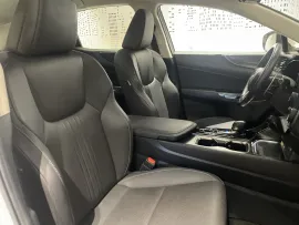 Voiture LEXUS NX II Ph1 350h Pack Business 2WD MY24