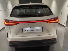 Voiture LEXUS NX II Ph1 350h Pack Business 2WD MY24