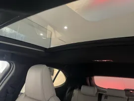 Voiture LEXUS UX I Ph1 MC 250h Executive 2WD