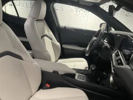 Voiture LEXUS UX I Ph1 MC 250h Executive 2WD