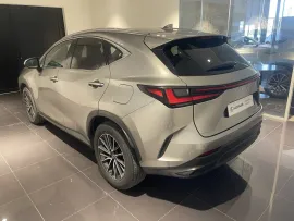Voiture LEXUS NX II Ph1 350h 2WD Luxe