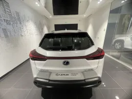 Voiture LEXUS UX I Ph1 250h 2WD Pack Confort Business MY21