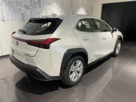 Voiture LEXUS UX I Ph1 250h 2WD Pack Confort Business MY21