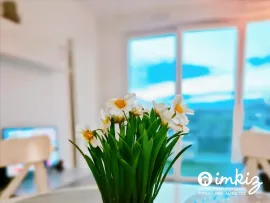 Vente Appartement 2 pièces bien situé entièrement meublé