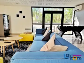 Location Studio Cosy proche de la Fac