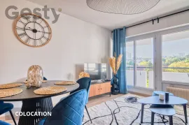 Colocation Colocation – Chambre avec accès balcon