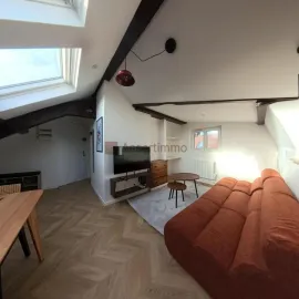 Location Charmant 2 pièces meublé refait à neuf – plei