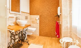 Vente PROPRIETE de CHARME avec CHAMBRES D'HOTES