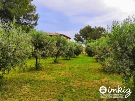 Vente Maison Nîmes plain pied et annexe
