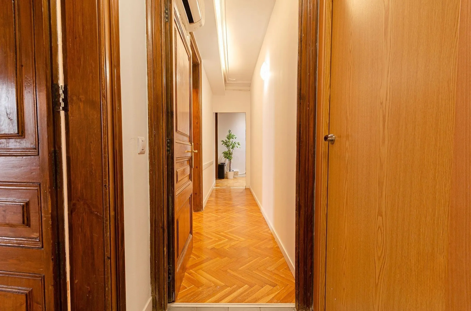 Colocation Carrer de Santa Anna, Barcelona