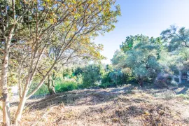 Vente NICE Cimiez - Terrain constructible Maison individuelle