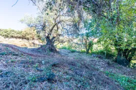 NICE Cimiez - Terrain constructible Maison individuelle Nice