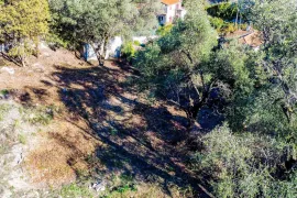 Vente NICE Cimiez - Terrain constructible Maison individuelle