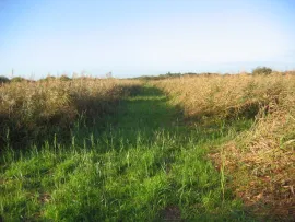 Chasse variée sur 25 ha dans le Pas de Calais Arras