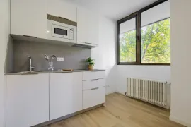 Location Avenida de la Reina Victoria, Madrid