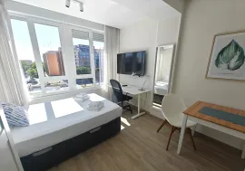 Location Paseo de la Castellana, Madrid