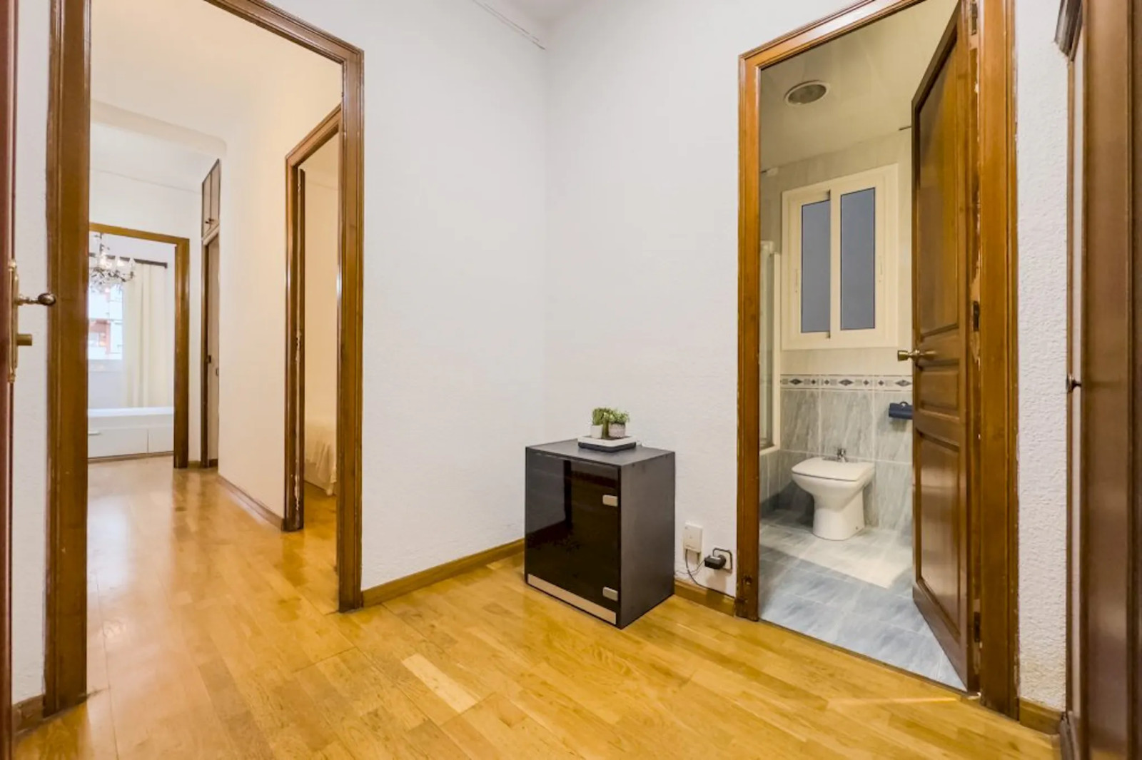 Colocation Carrer de Pi i Margall, Barcelona