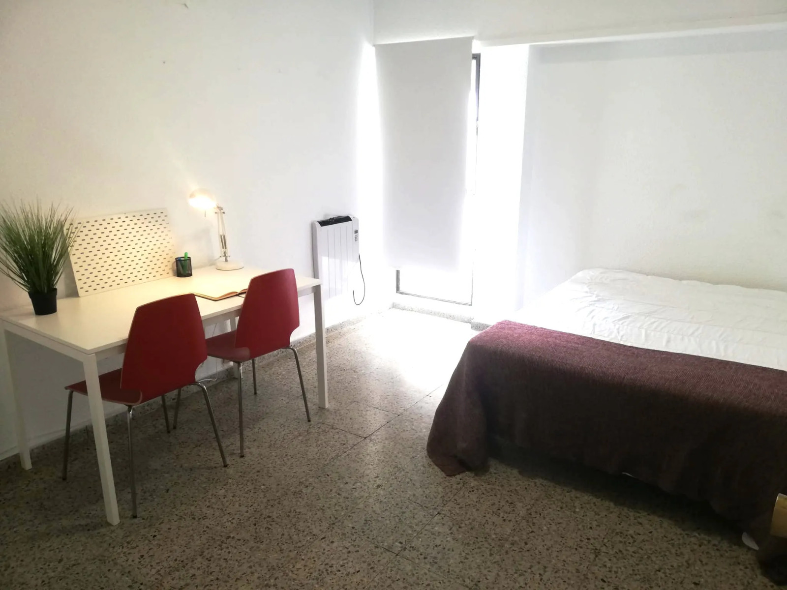 Colocation Carrer de Polo y Peyrolón, Valencia