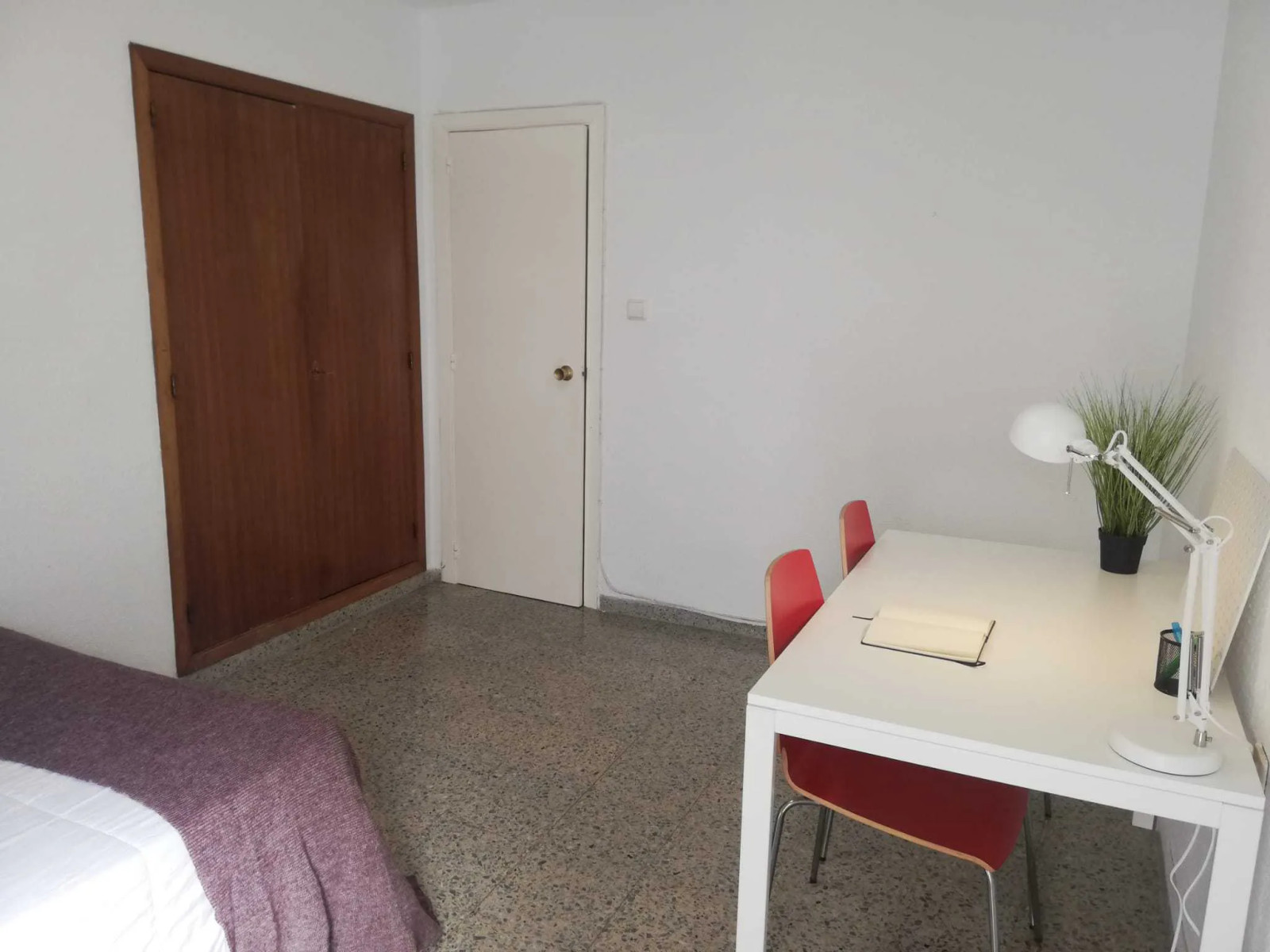 Colocation Carrer de Polo y Peyrolón, Valencia
