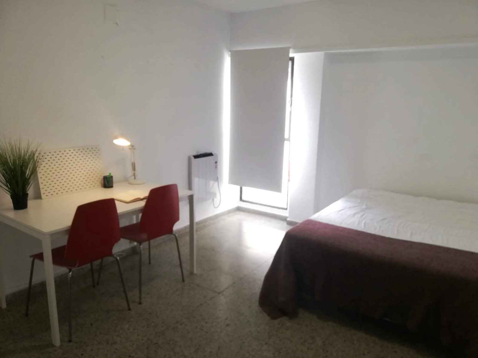 Colocation Carrer de Polo y Peyrolón, Valencia