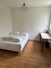 Colocation Chambres dispos dans coloc rénovée 72m²