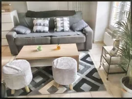 Location Appartement T2 cosy rénové dans une rue très calme