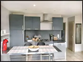 Appartement T2 cosy rénové dans une rue très calme Lyon 4e