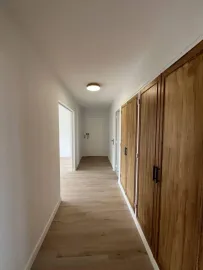 Location APPT 70 M² RÉNOVÉ À NEUF – proche campus Artem