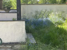Location Très beau studio spacieux et lumineux