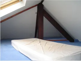 Location Appartement atypique Lille hyper centre