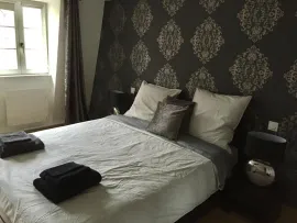 Location Magnifique duplex avec terrasse vue cathédrale